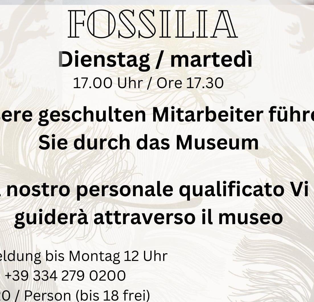 Foto für Fossilia - Führung durch das Museum